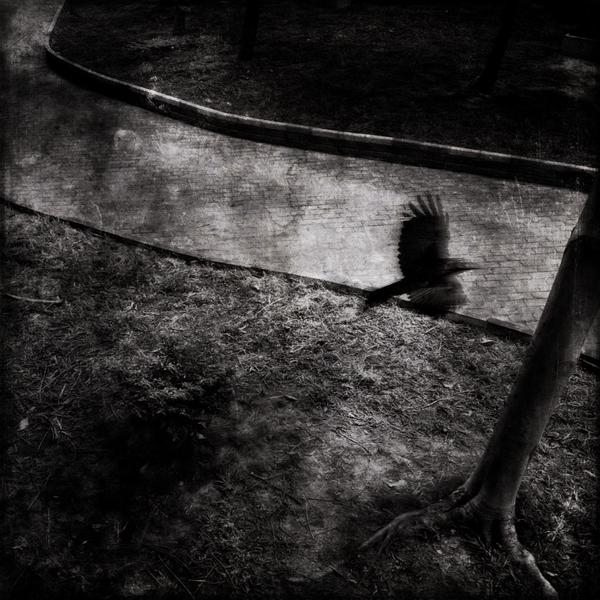 发手机号软件app